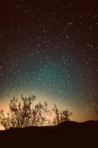 Bellissimo Cielo Notturno Con Stelle Alberi — Foto Stock