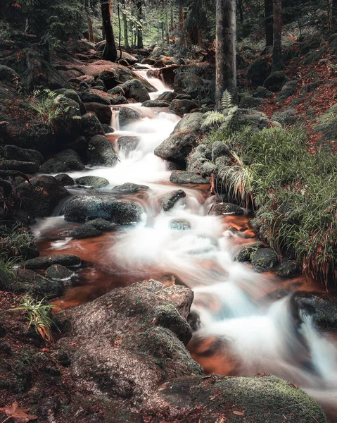 Krásný Vodopád Lese — Stock fotografie