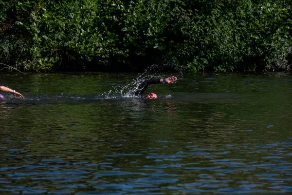 Een Groep Eenden Het Water — Stockfoto