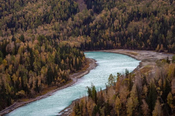 Beautiful Landscape River Forest — Stock Photo, Image