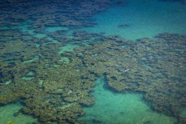Красивый Тропический Пляж Морем Голубым Небом — стоковое фото