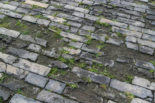 Old Stone Pavement Green Grass — Stock Photo, Image