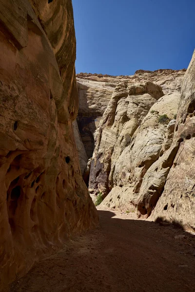 Bela Paisagem Vale Deserto Negev Norte Israel — Fotografia de Stock