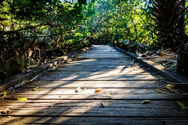 Holzbrücke Wald — Stockfoto