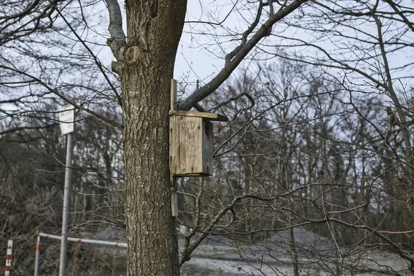 Een Verticaal Schot Van Een Houten Hek Met Een Witte — Stockfoto