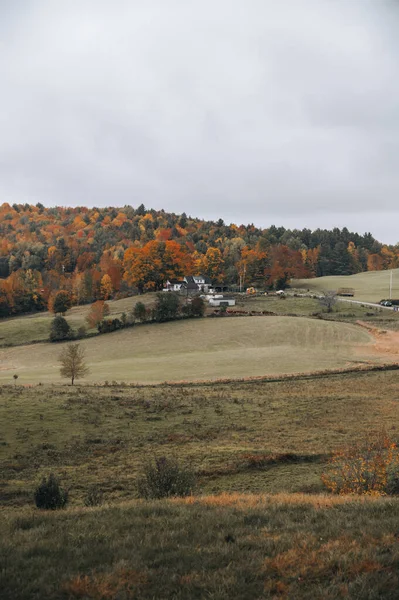 Herfst Landschap Met Bomen Bos — Stockfoto