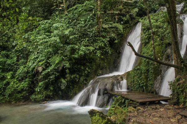 Cascata Nella Foresta — Foto Stock