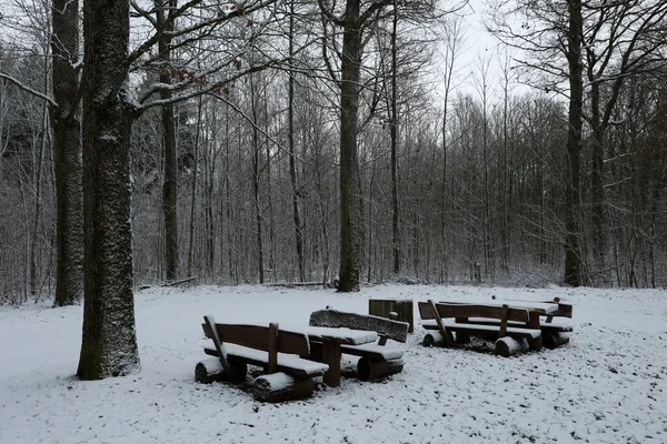 Bench Park — Stock Photo, Image