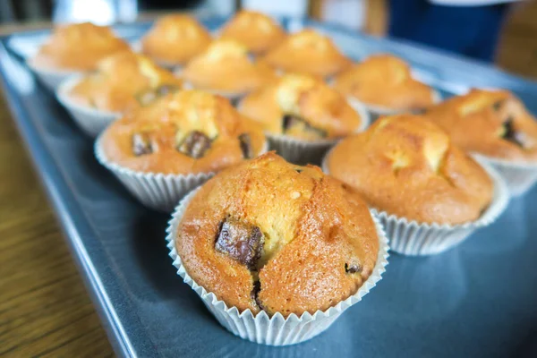 Muffins Frais Four Chocolat — Photo