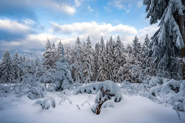 冰雪覆盖的冬季景观 — 图库照片