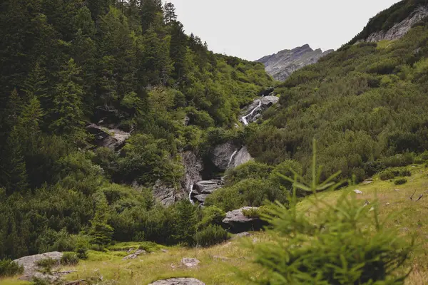 Belle Rivière Montagne Dans Les Montagnes — Photo