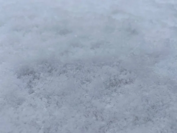 冬天下雪 — 图库照片