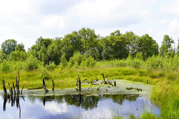 Beau Paysage Avec Une Rivière — Photo