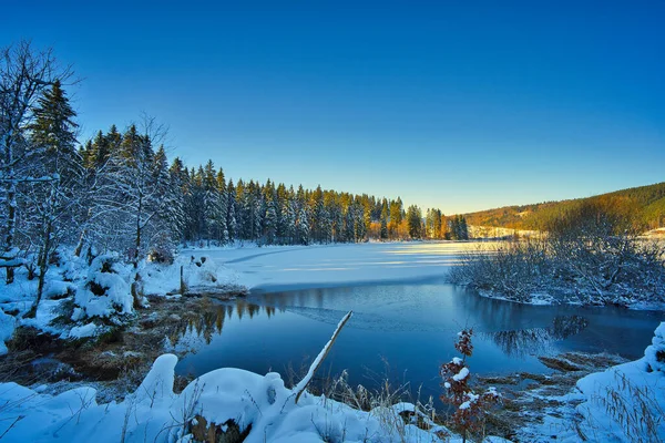 Prachtig Winterlandschap Met Besneeuwde Bomen — Stockfoto