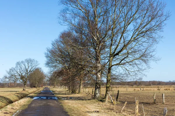 Hermoso Paisaje Con Árbol Una Cerca —  Fotos de Stock