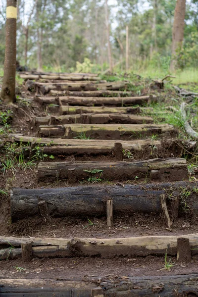 森林中古老的木桥 — 图库照片
