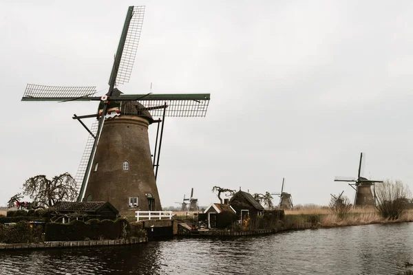 Windmühlen Den Niederlanden Auf Naturhintergrund — Stockfoto