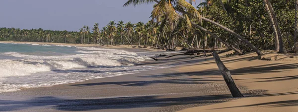 Красивий Тропічний Пляж Пальмами Блакитним Небом — стокове фото