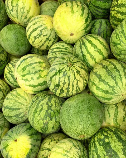 Färska Gröna Vattenmeloner Marknaden — Stockfoto