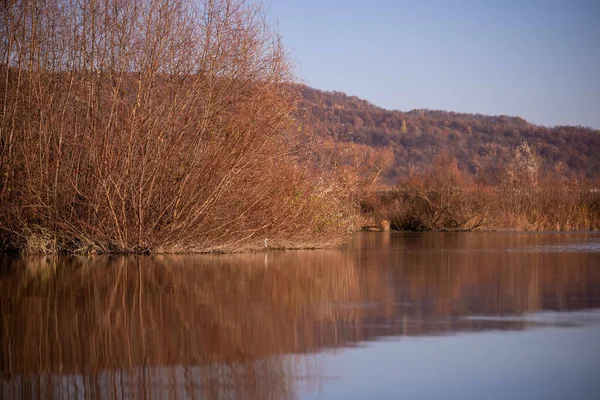 木々や川に囲まれた美しい秋の風景 — ストック写真