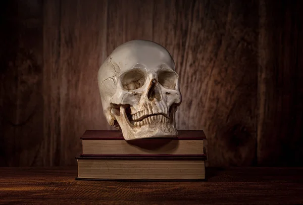 Νεκρή Φύση Ανθρώπινο Κρανίο Και Βιβλία — Φωτογραφία Αρχείου
