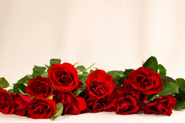 Rote Rosen Auf Weißem Hintergrund — Stockfoto