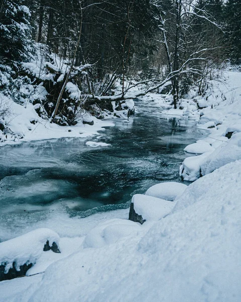 森の中に雪に覆われた川がある美しい風景 — ストック写真