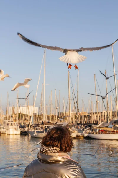 Beautiful View Seagulls Boats — Stock Photo, Image