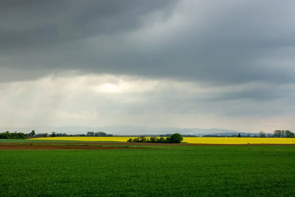 Piękny Krajobraz Polem Zielonej Trawy Zachmurzone Niebo — Zdjęcie stockowe