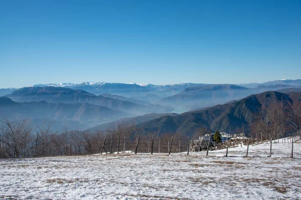 Wunderschöne Landschaft Mit Schneebedeckten Bäumen Den Bergen — Stockfoto