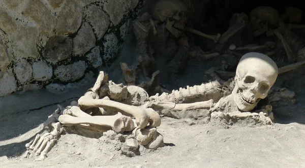 Halott Tenger Koponyája Csontjai — Stock Fotó