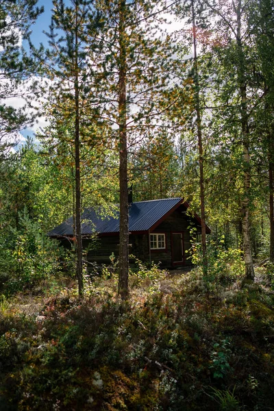 Holzhaus Wald — Stockfoto