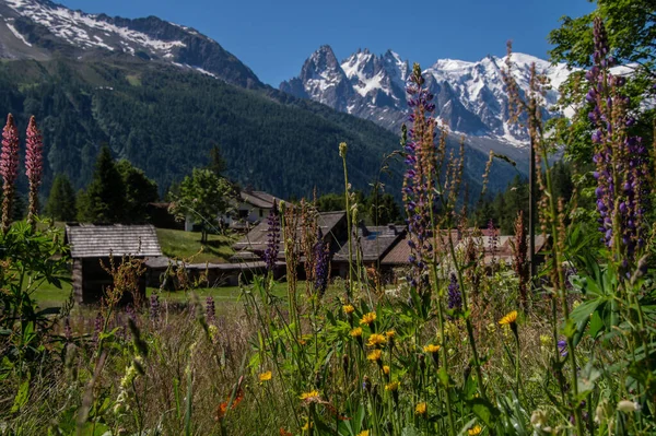 Beautiful View Mountains — Stock Photo, Image