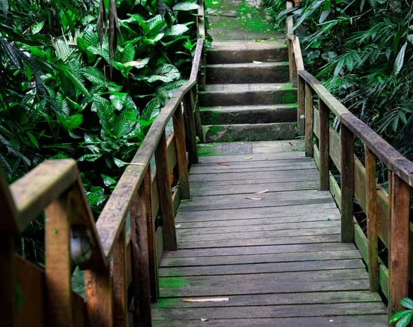 Houten Brug Het Bos — Stockfoto