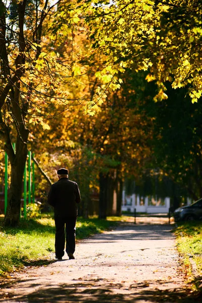 Parkta Yürüyen Adam — Stok fotoğraf