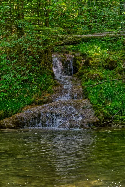 Prachtige Waterval Het Bos — Stockfoto