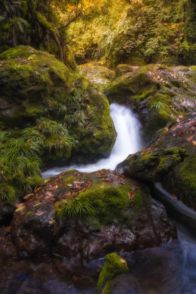 Bela Cachoeira Floresta — Fotografia de Stock