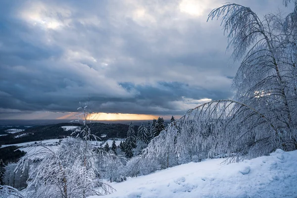 Hermoso Paisaje Invierno Con Árboles Cubiertos Nieve — Foto de Stock