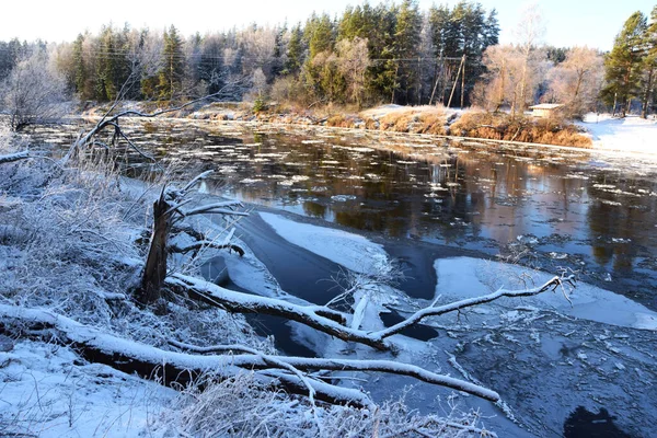 Winter Landscape River Trees — Stock Photo, Image