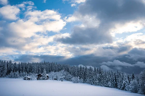 Prachtig Winterlandschap Met Besneeuwde Bomen — Stockfoto