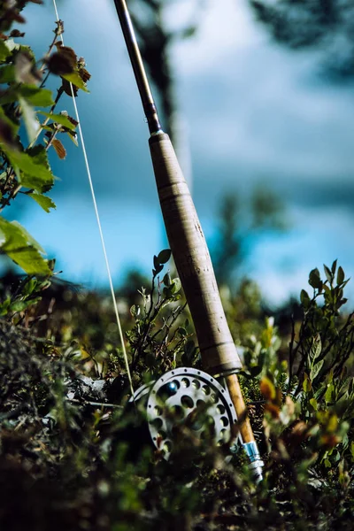 Canna Pesca Giardino — Foto Stock