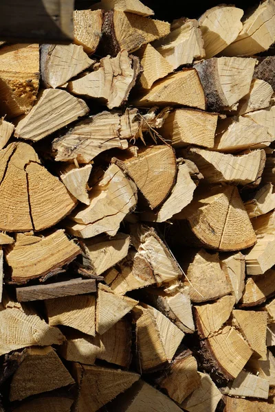 Brennholzstapel Zum Verkauf Wald — Stockfoto