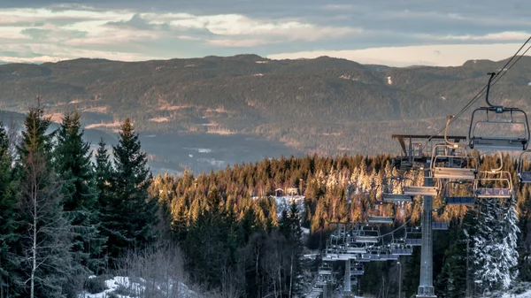 Wunderschöne Winterlandschaft Mit Schneebedeckten Bäumen — Stockfoto