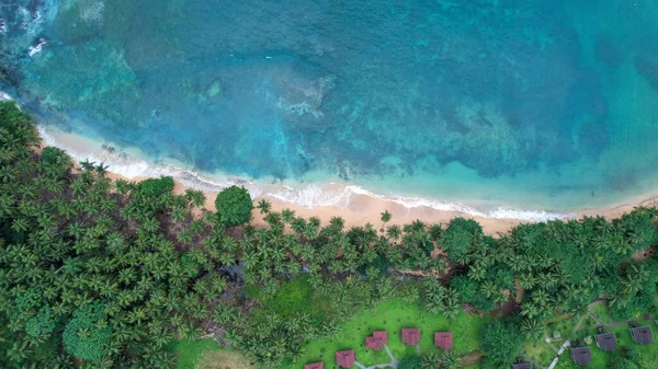 Вид Воздуха Тропический Пляж Пальмами Голубым Небом — стоковое фото