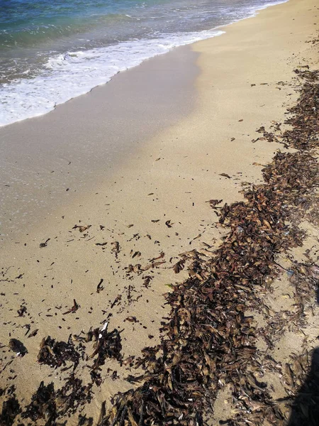 有沙滩和沙滩的海岸 — 图库照片