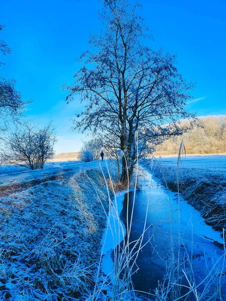 Paisagem Inverno Com Neve Árvores — Fotografia de Stock