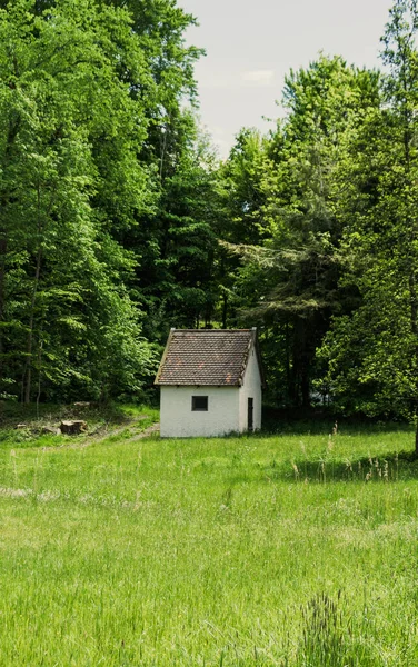Старий Дерев Яний Будинок Лісі — стокове фото