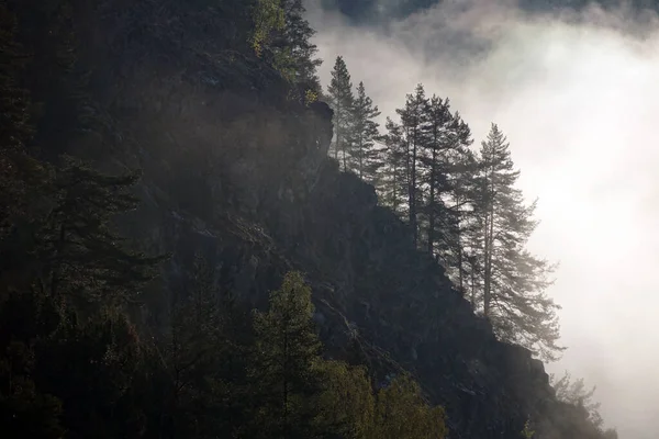 Krásná Krajina Horami Lesem — Stock fotografie