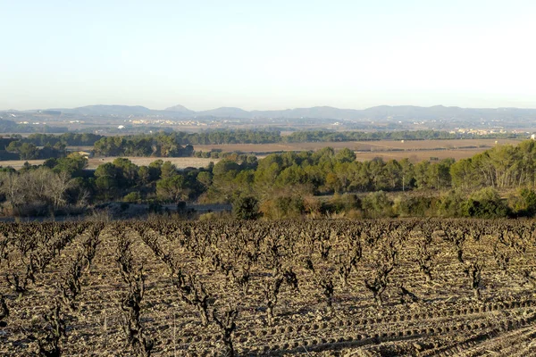 Воздушный Вид Сельскую Местность Севере Испании — стоковое фото