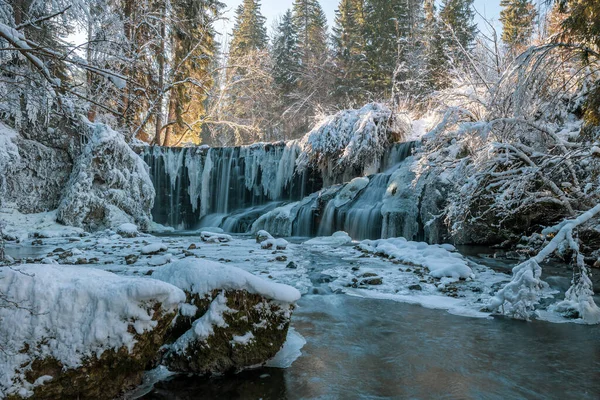 Vackert Vinterlandskap Med Snötäckta Träd — Stockfoto